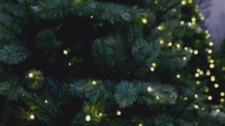 Triumph Tree Sapin de Noël artificiel LED Deluxe Sherwood Spruce Dimensions - Sapin Belge
