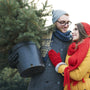 Acheter-en-ligne-un-sapin-de-Noël-en-pot-tout-ce-qu-il-faut-savoir. Sapin Belge