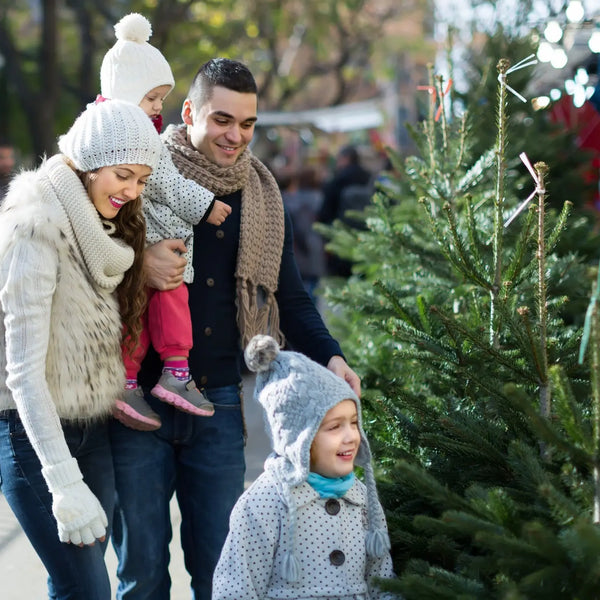 Comment-choisir-un-un-arbre-de-Noël Sapin Belge