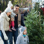 Comment-choisir-un-un-arbre-de-Noël Sapin Belge