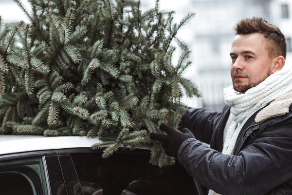 Comment-se-faire-livrer-un-sapin-de-Noël-à-la-maison Sapin Belge