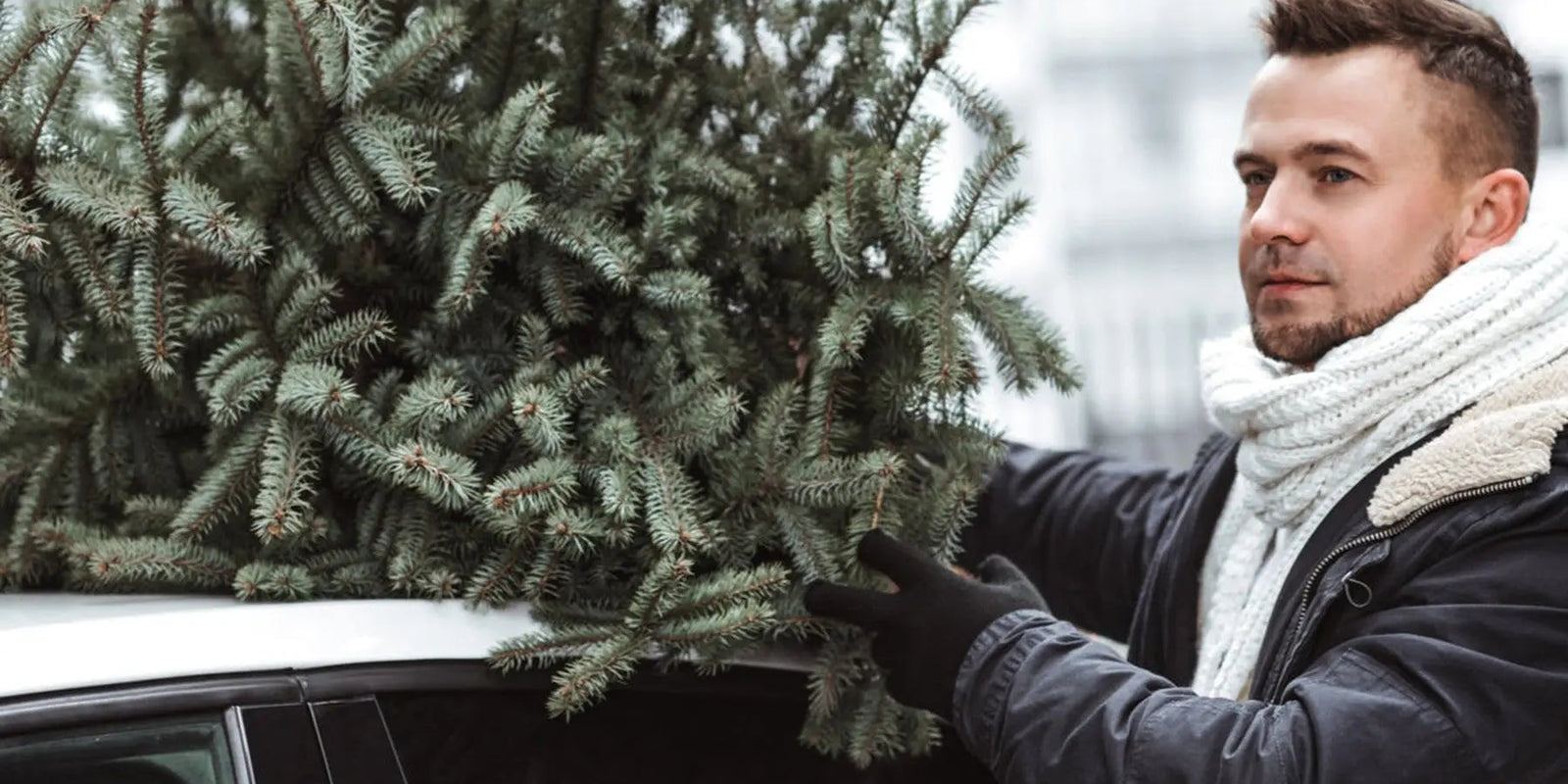Comment-se-faire-livrer-un-sapin-de-Noël-à-la-maison Sapin Belge