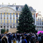 Le-Sapin-de-Noël-de-la-Grand-Place-de-Bruxelles-2024-Un-Événement-Incontournable Sapin Belge