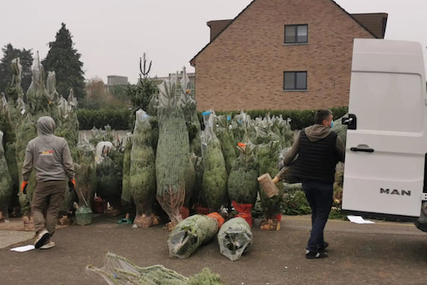 Livraison-de-sapin-de-Noël-à-Bruxelles-et-partout-en-Belgique Sapin Belge