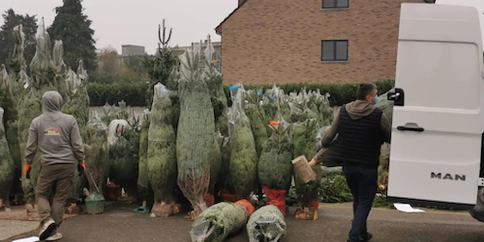 Livraison-de-sapin-de-Noël-à-Bruxelles-et-partout-en-Belgique Sapin Belge