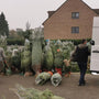 Livraison-de-sapin-de-Noël-à-Bruxelles-et-partout-en-Belgique Sapin Belge