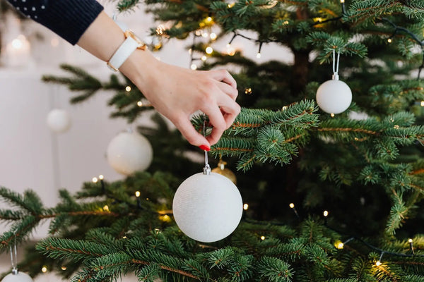 Quel-sapin-de-Noël-est-le-plus-Ecolo Sapin Belge