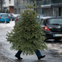 Que devient votre sapin après les fêtes ?