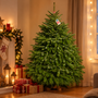 Sapin de Noël Label Rouge : tout savoir sur le sapin de qualité supérieure