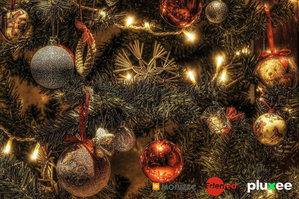 Acheter votre sapin de Noël en ligne avec vos éco-chèques