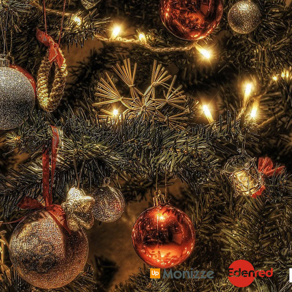 Acheter votre sapin de Noël en ligne avec vos éco-chèques
