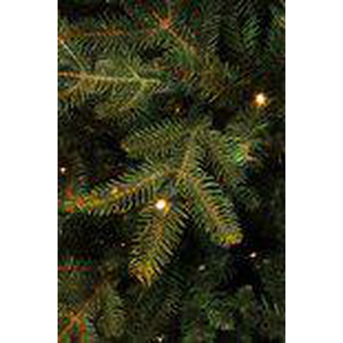 Sapin de Noël artificiel Black Box Frasier Fir LED - 185 x 124 cm - vert - 288 LED - Sapin Belge