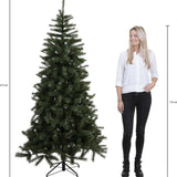 Triumph Tree Forest Sapin de Noël Artificiel Pin Givré - Hauteur 215 cm - Sans éclairage - Sapin Belge