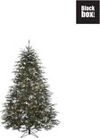 Sapin de Noël Stelton givré Black Box avec bouts vert LED blanc chaud 923 Dimensions - Sapin Belge