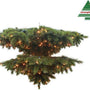 Triumph Tree - Lustre en pin givré forêt givré, LED verte - d102cm - Sapin Belge