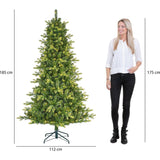 Black Box Trees Arbre de Noël artificiel Dayton avec Siècle des Lumières LED - H185 x Ø112 cm - Vert - Sapin Belge