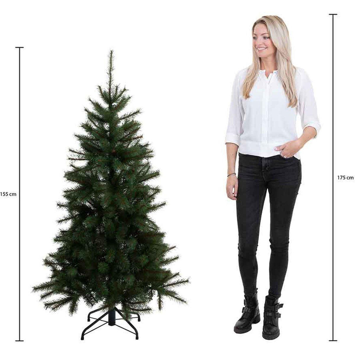 Black Box Trees - Sapin de Noël Dayton vert TIPS 752 - Sapin Belge