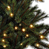 Arbre de Noël Artificiel Black Box Trees Kingston avec Siècle des Lumières LED - H155 cm - Vert - Sapin Belge