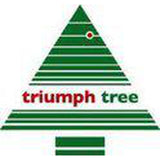 Triumph Tree Pittsburgh Sapin de Noël artificiel français pomme de pin pointes vertes 940 Dimensions en cm: 230 x 124 - Sapin Belge