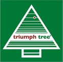 Triumph Tree Pittsburgh Sapin de Noël artificiel français pomme de pin pointes vertes 940 Dimensions en cm: 230 x 124 - Sapin Belge