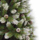 Triumph Tree Pittsburgh Sapin de Noël artificiel français pomme de pin pointes vertes 940 Dimensions en cm: 230 x 124 - Sapin Belge