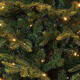 Sapin de Noël artificiel Black Box Frasier Fir LED - 185 x 124 cm - vert - 288 LED - Sapin Belge