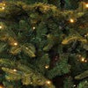 Sapin de Noël artificiel Black Box Frasier Fir LED - 185 x 124 cm - vert - 288 LED - Sapin Belge