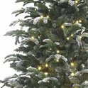 Sapin de Noël Stelton givré Black Box avec bouts vert LED blanc chaud 923 Dimensions - Sapin Belge