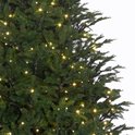 Sapin de Noël artificiel Black Box Frasier Fir LED - 185 x 124 cm - vert - 288 LED - Sapin Belge