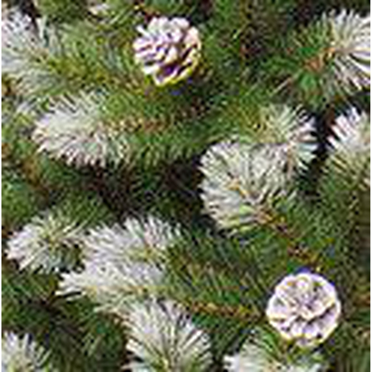 Triumph Tree Pittsburgh Sapin de Noël artificiel français pomme de pin pointes vertes 940 Dimensions en cm: 230 x 124 - Sapin Belge