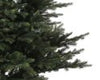 Everlands Grandis Sapin de Noël artificiel 240 cm - sans éclairage - Sapin Belge
