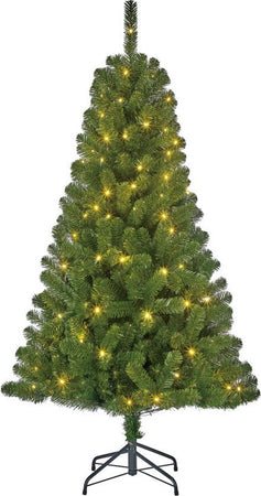 Arbre de Noël Artificiel Black Box Trees Charlton avec Siècle des Lumières LED - Sapin Belge