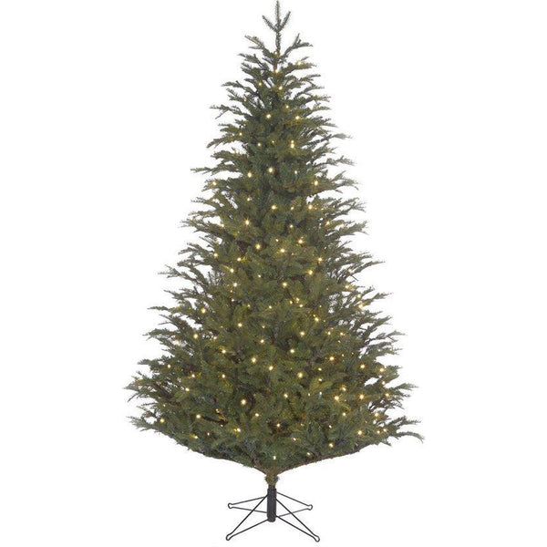 Black Box Trees - Frasier X-mas tree - LED - vert - h155xd109cm - Sapin Belge