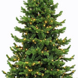 Triumph Tree de Noël artificiel Sherwood - 215 x 135 cm - Vert - 288 LED blanc chaud - Sapin Belge