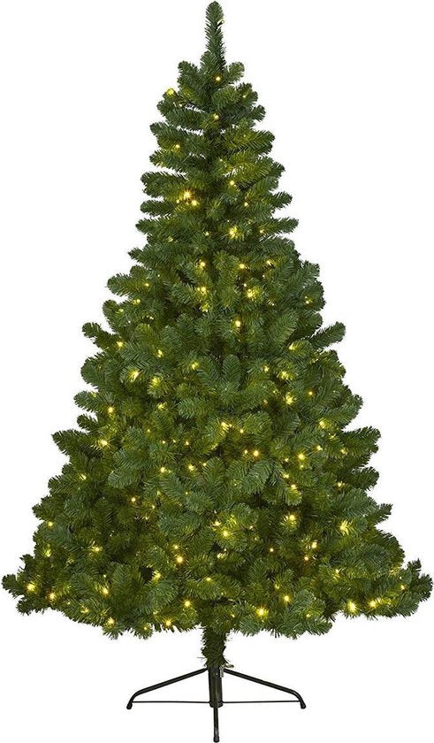 Sapin de Noël Pin Imperial 240cm + éclairage LED - Sapin Belge