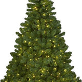 Sapin de Noël Pin Imperial 240cm + éclairage LED - Sapin Belge