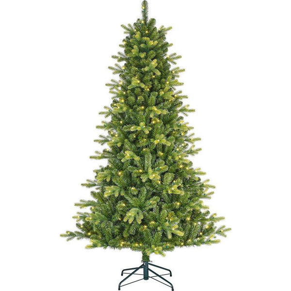 Black Box Trees Arbre de Noël artificiel Dayton avec Siècle des Lumières LED - H185 x Ø112 cm - Vert - Sapin Belge