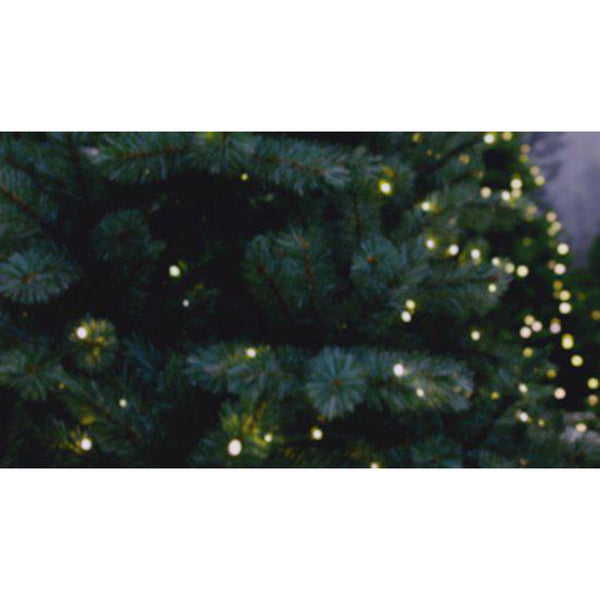 Sherwood sapin de noël led slim vert 120L TIPS 764 - h155xd91cm - Sapin Belge