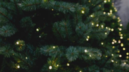 Triumph Tree Sapin de Noël artificiel français Pittsburgh dimensions - Sapin Belge
