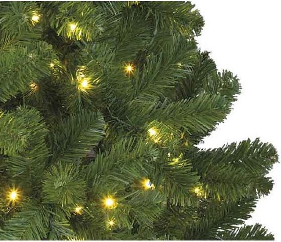 Sapin de Noël Pin Imperial 240cm + éclairage LED - Sapin Belge