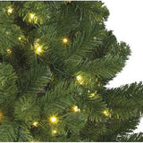 Sapin de Noël Pin Imperial 240cm + éclairage LED - Sapin Belge