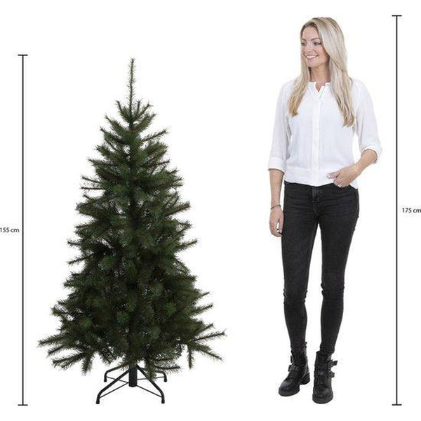 Triumph Treekerstboom Forest Frosted H155D119 Pointes vertes 618 - Sapin Belge