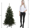 Triumph Treekerstboom Forest Frosted H155D119 Pointes vertes 618 - Sapin Belge