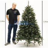 Triumph TreeX-Mas Tree Forest Frosted H185D130 Newgrowth Blue Pointes 942 - Sapin Belge