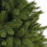 Triumph Tree Forest Sapin de Noël Artificiel Pin Givré - Hauteur 215 cm - Sans éclairage - Sapin Belge