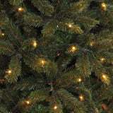 Triumph Tree Sapin de Noël artificiel LED Bristlecone sapin taille en cm: 155 x 99 vert foncé 144 lumières - Sapin Belge