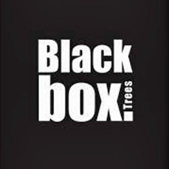 Sapin de Noël artificiel Black Box avec LED brampton taille - Sapin Belge
