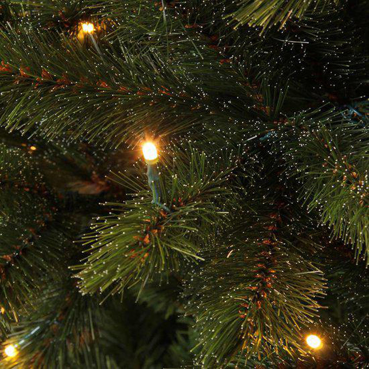 Triumph Tree - CHRISTMAS TREE LED BRISTLECONE FIR H230 D153 D.GREEN 304L CONSEILS 1168 - Sapin Belge