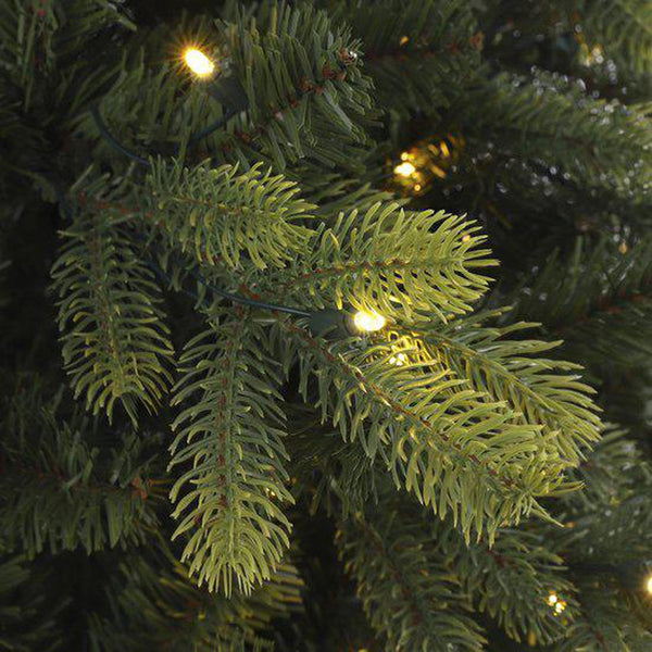 Black Box Trees Arbre de Noël artificiel Dayton avec Siècle des Lumières LED - H185 x Ø112 cm - Vert - Sapin Belge