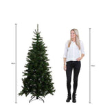 Triumph Tree Sapin de Noël artificiel français Pittsburgh dimensions en cm: 185 x 102 vert - Sapin Belge